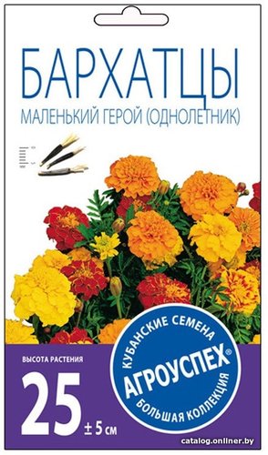 Агроуспех Бархатцы Маленький герой 27313 0.2 г