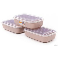 Набор контейнеров Полесье №41 2.7л с крышками 73829 (3 шт, темно-кремовый/прозрачный)