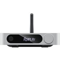 Сетевой ресивер FiiO SR11 (серебристый)