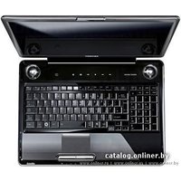 Ноутбук Toshiba Satellite P300-1E9