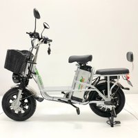 Электровелосипед GreenCamel Транк Монстр R16FAT (500Вт 48В 15Ач)