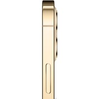 Телефон Apple iPhone 12 Pro 512GB (золотой)