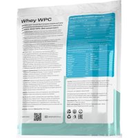 Протеин сывороточный (концентрат) Healthys Whey Wpc (900г, клубника)