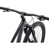 Велосипед Giant Trance 29 3 L 2021 (черный)