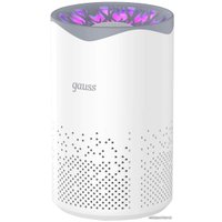 Очиститель воздуха Gauss Guard GR001