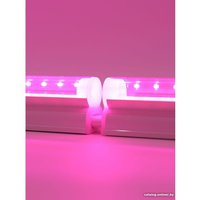 Лампа для растений Glanzen RPD-0600-10-fito