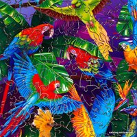 Пазл Puzzle Тропическая сказка 9084423