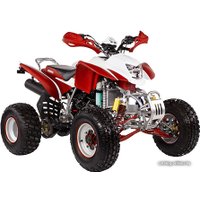 Квадроцикл IRBIS ATV 250S