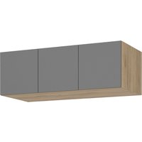 Шкаф распашной Стендмебель Лион АН-02 1200 (графит серый/дуб крафт золото)