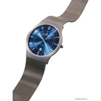 Наручные часы Skagen 233XLTTN