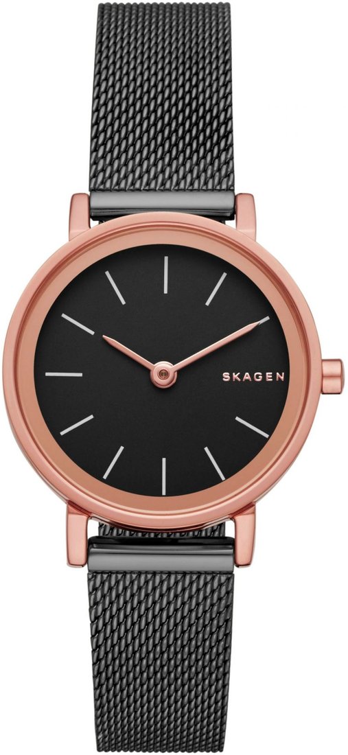 Наручные часы Skagen SKW2492