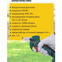 Секатор Pioneer Tools BP-20V20BL-01 (с 1-им АКБ, кейс)