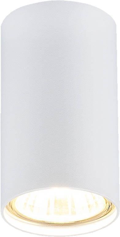 

Точечный светильник Elektrostandard 1081 GU10 WH