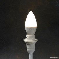 Светодиодная лампочка Rexant CN E14 7.5 Вт 6500 К 604-019