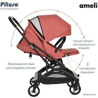 Коляска прогулочная «книга» Pituso Ameli (frosty berry)