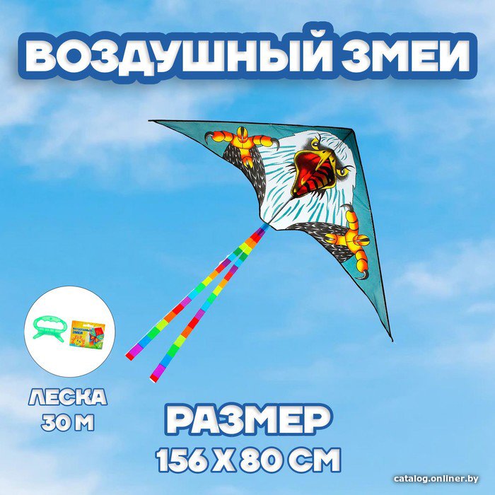 Воздушный змей Funny Toys Орёл 1675695