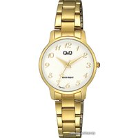 Наручные часы Q&Q Q48AJ003
