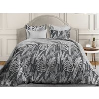 2-спальный комплект постельного белья Швейная королева 70642/6 Амазония