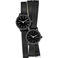 Наручные часы Skagen SKW2364