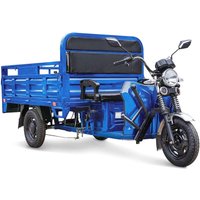 Грузовой электроскутер Rutrike D4 NEXT 1800 60V 1200W (синий)
