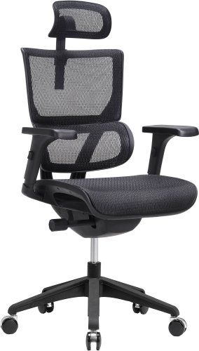 Офисное кресло Ergostyle Vision (черный)