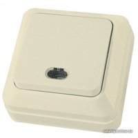 Выключатель TDM Electric Ладога SQ1801-0010 в Гродно