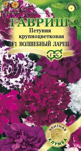 Гавриш Петуния Волшебный ларец F1 10 шт