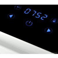 Сушилка для овощей и фруктов StarWind SFD9534