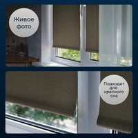 Рулонные шторы Franc Gardiner Blackout Dublin 60x160 7799897 (коричневый)