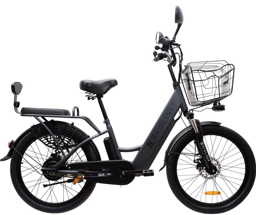

Электровелосипед Ecoliner E-Alfa 24 240Вт 36В 13А/ч (черный)