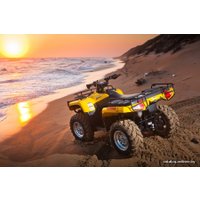 Квадроцикл Stels ATV 400 Hunter