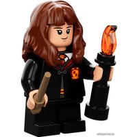 Конструктор LEGO Harry Potter 76387 Хогвартс: встреча с Пушистиком