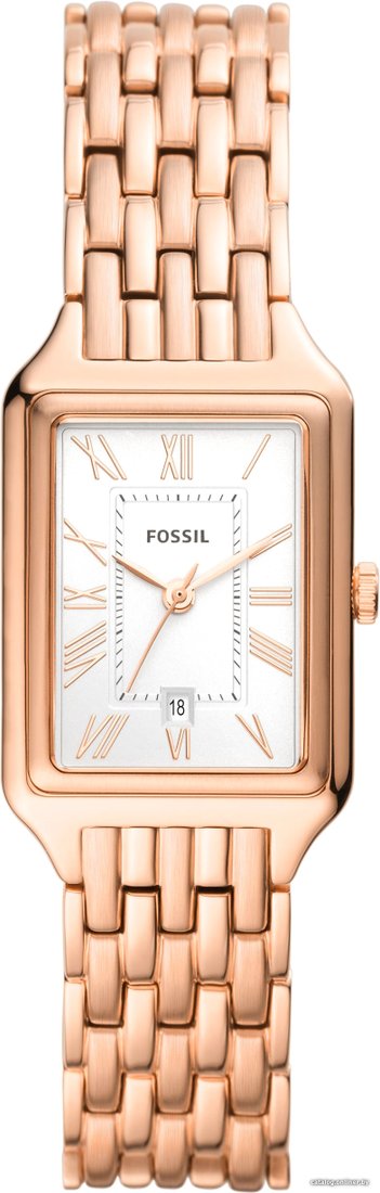 Наручные часы Fossil Raquel ES5271