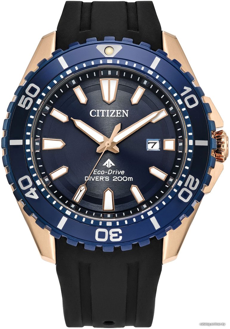 Наручные часы Citizen Promaster BN0196-01L