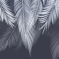 Фотообои Citydecor Пальмовые листья 300x260 голубой-синий