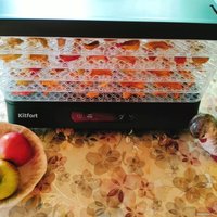 Сушилка для овощей и фруктов Kitfort KT-1948