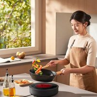 Настольная плита Xiaomi Mijia Electric Ceramic Stove S1 MDTL001CM (с переходником на евровилку)