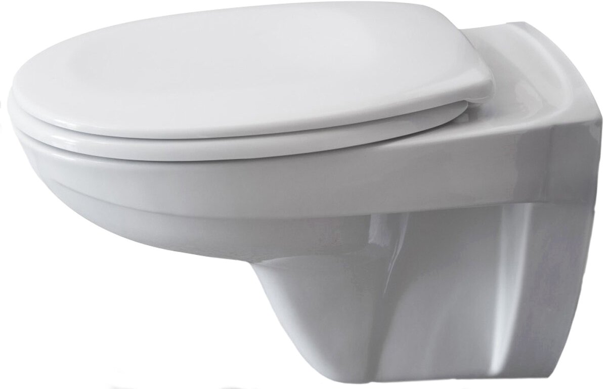 

Унитаз подвесной Bettoserb Fluenta Basic 40006460 (с крышкой Soft-Close)