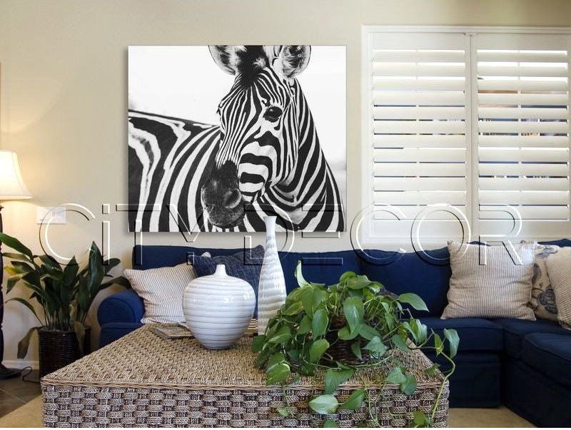 

Модульная картина Citydecor Животные/Птицы 2.50 60x70 см