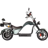 Электроскутер SkyBoard Chopper 3000 Pro SKY0001706 (зеленый хаки)