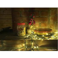 Светодиодная гирлянда SHLights Кристалл DC-ILD120-CGL (12 м)