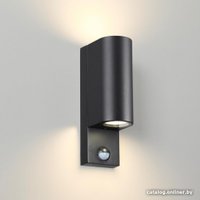 Уличный настенный светильник Odeon Light Motto 4390/2W