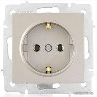 Розетка Lezard Vesna 742-3788-181