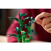 Конструктор LEGO The Botanical Collection 10344 Счастливый бамбук