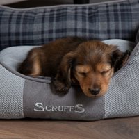 Лежак Scruffs Highland 822543 (серый)