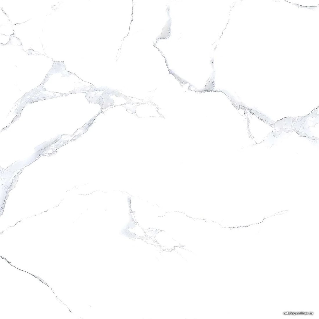 Керамогранит (плитка грес) Range Ceramic Gres Alpine Carrara polished 600x600