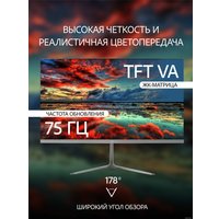 Монитор Leff 27FV100