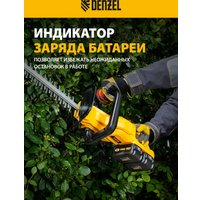 Кусторез Denzel RBC510-36 59410 (с 2-мя АКБ)