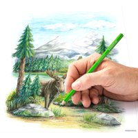 Набор цветных карандашей Staedtler 146C C48 (48шт) в Барановичах