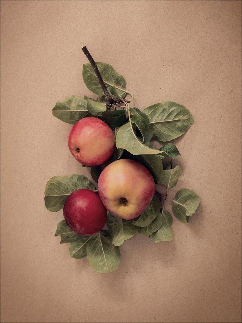 Картина Ikea Pjatteryd 60583561